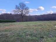 Terrain constructible avec vue d'exception ! — photo 4