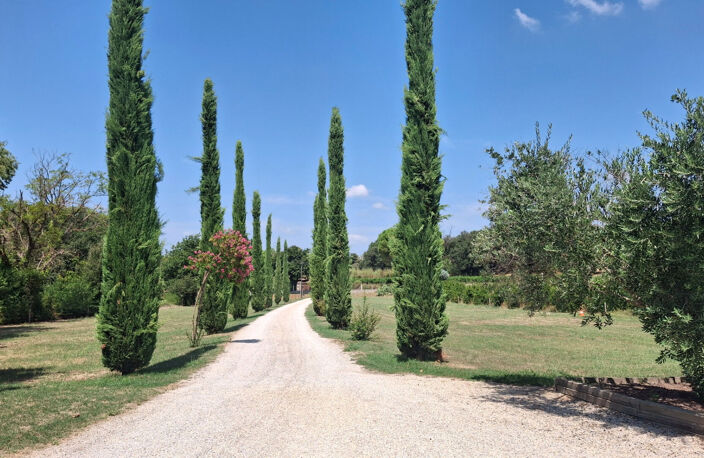 Exclusivité - Mas de 385m²  dans la campagne de Suze La Rousse — photo 5