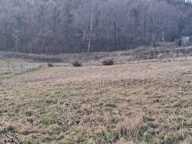 Terrain constructible dans un écrin de verdure — photo 2