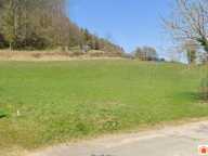 Terrain constructible dans un écrin de verdure — photo 3