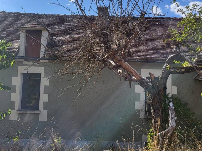 Ensemble immobilier à rénover centre bourg — photo 1