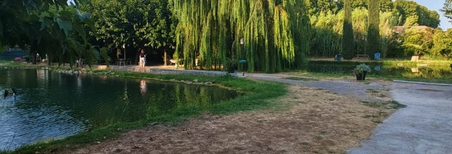 Photo N° 2