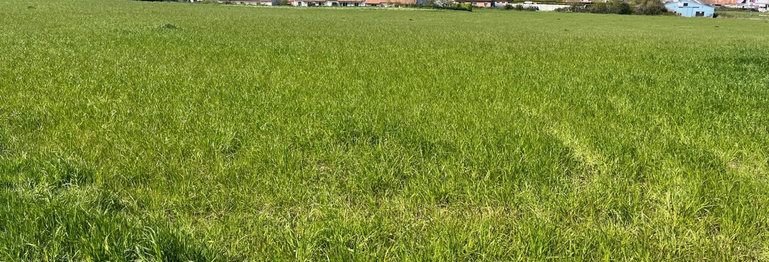 Terrain  782 m² à vendre à Tournehem-sur-la-Hem (62890)