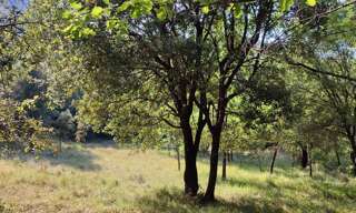 Terrain  5647 m² à vendre à Saint-Laurent-le-Minier (30440)
