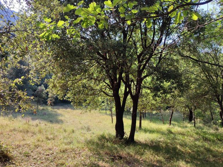 Vente Terrain 5 647 m&sup2; — photo 1