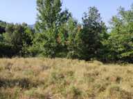 Vente Terrain 5 647 m&sup2; — photo 2