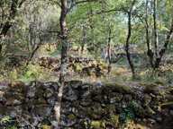 Vente Terrain 5 647 m&sup2; — photo 4