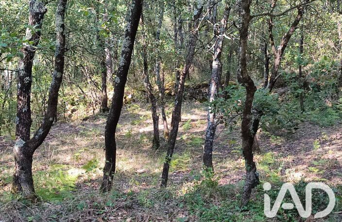 Vente Terrain 5 647 m&sup2; — photo 5