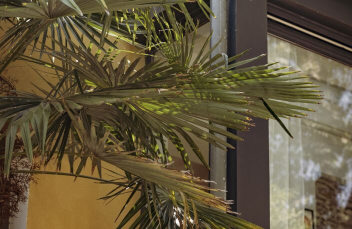 Vente Maison/villa 5 pièces — photo 4