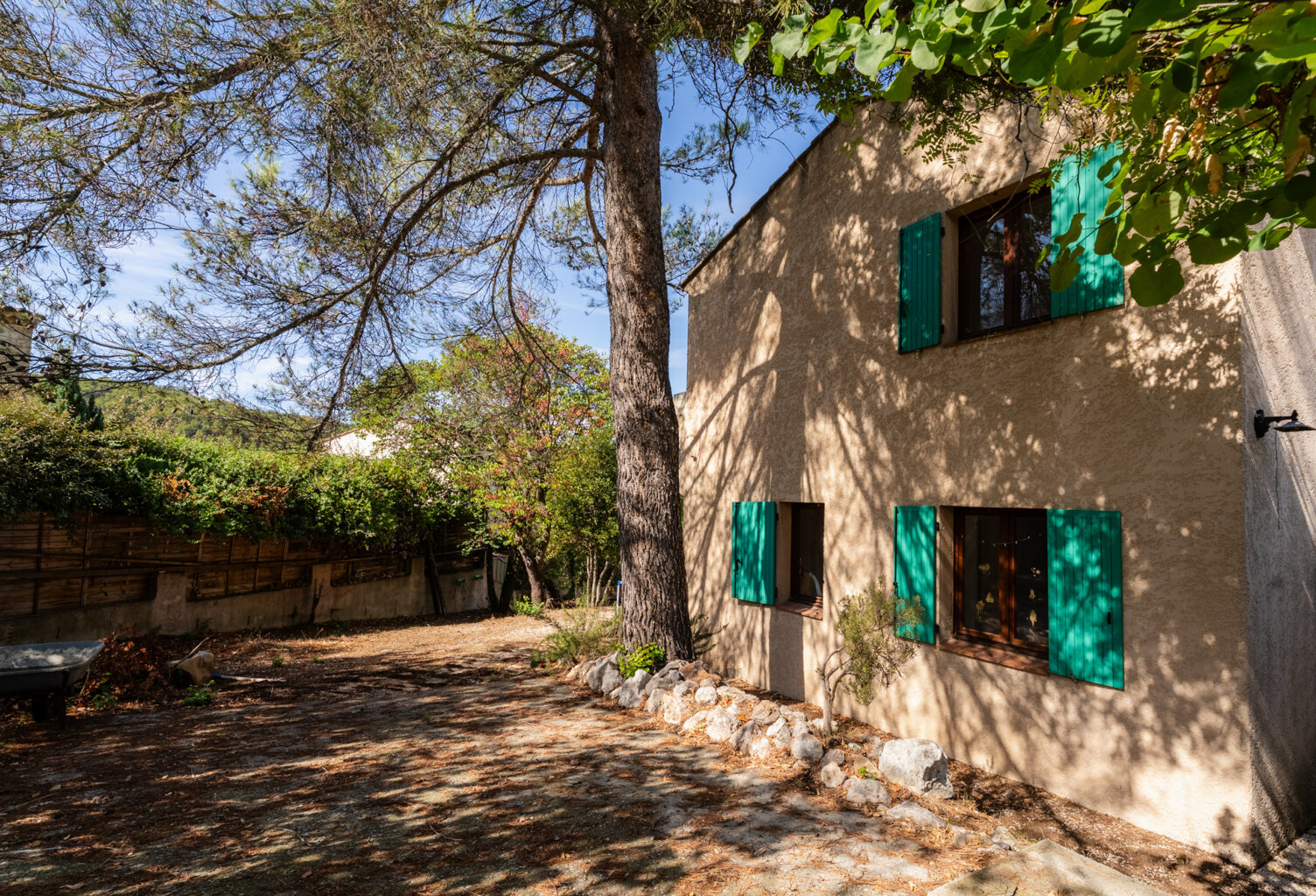 DANS LES PINS — photo 1