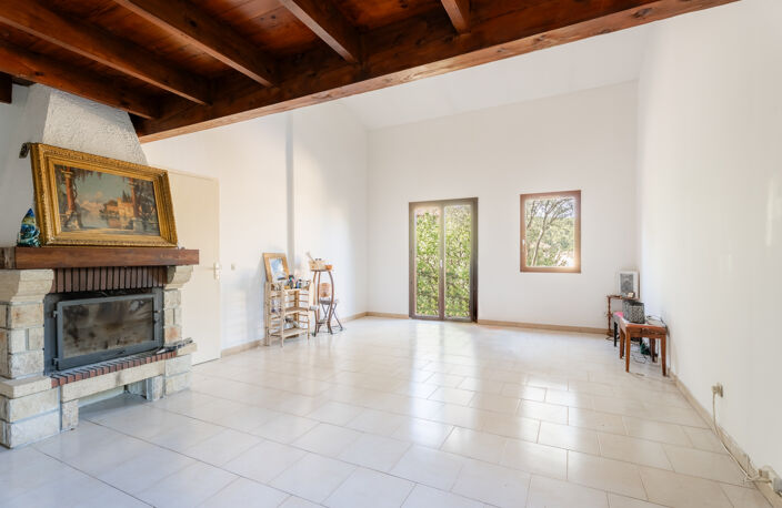 DANS LES PINS — photo 5