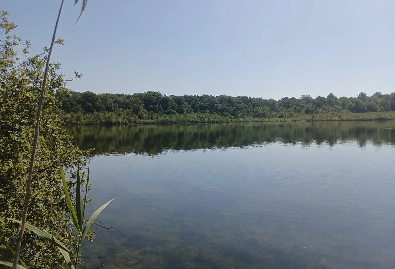 Vente étang de 11 ha environ sur terrain de 14 ha environ AI — photo 1