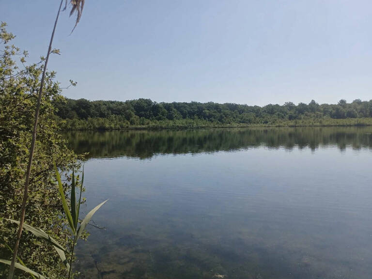 Vente étang de 11 ha environ sur terrain de 14 ha environ AI — photo 1