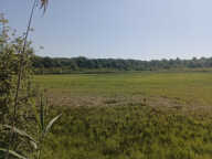 Vente étang de 11 ha environ sur terrain de 14 ha environ AI — photo 2