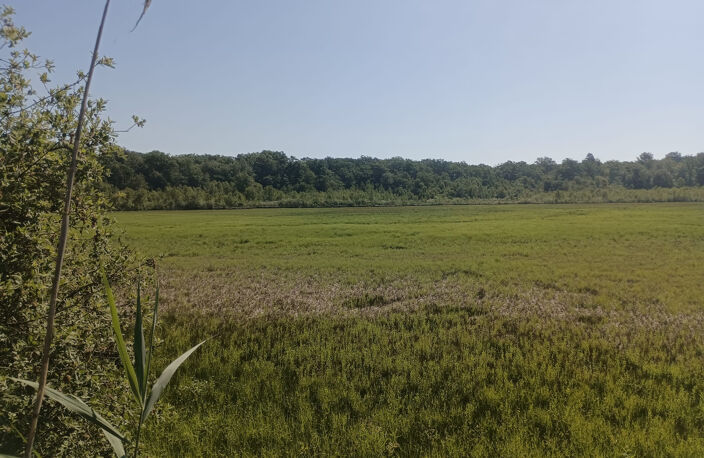 Vente étang de 11 ha environ sur terrain de 14 ha environ AI — photo 2