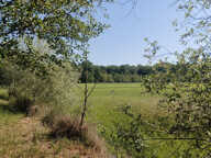 Vente étang de 11 ha environ sur terrain de 14 ha environ AI — photo 3