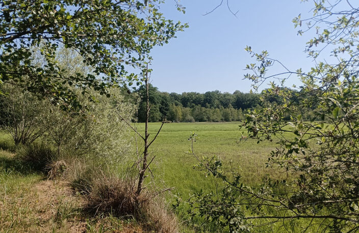 Vente étang de 11 ha environ sur terrain de 14 ha environ AI — photo 3