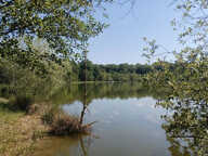 Vente étang de 11 ha environ sur terrain de 14 ha environ AI — photo 4