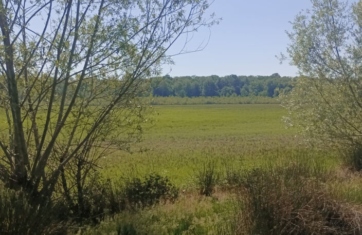 Vente étang de 11 ha environ sur terrain de 14 ha environ AI — photo 5