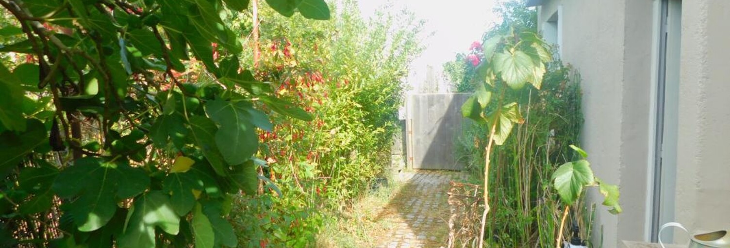 Photo N° 2