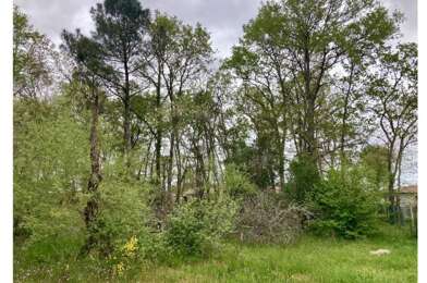 Terrain  295000 €