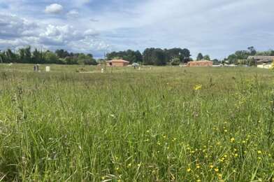 Terrain  215000 €