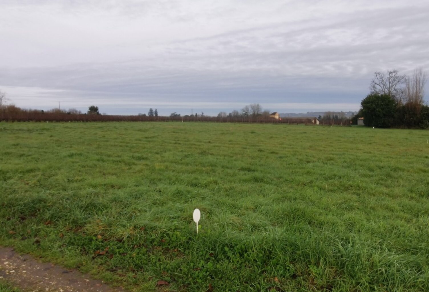 Terrain à bâtir à Saint-Pierre-de-Mons (33210) — photo 1