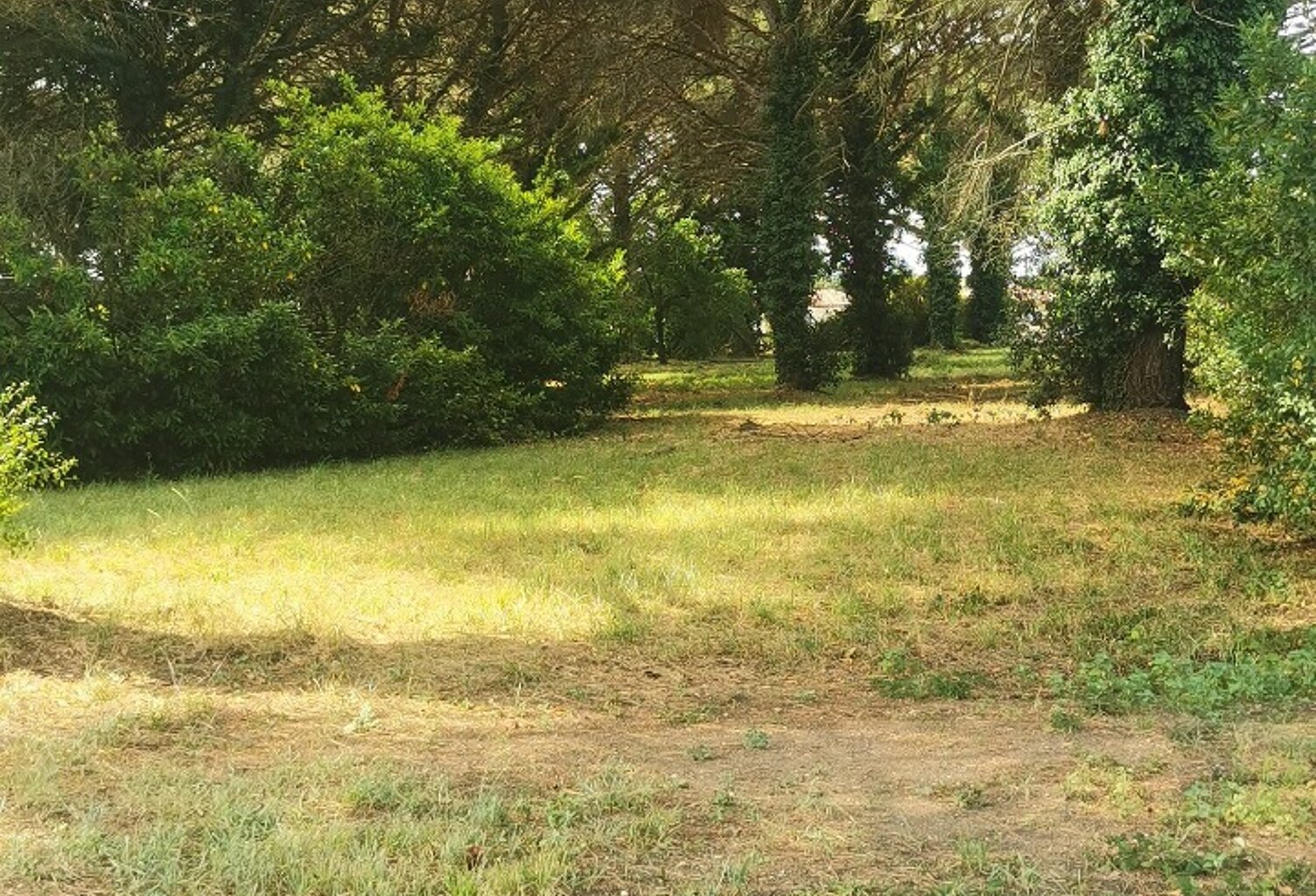 Terrain à bâtir à Saint-Maixant (33490) — photo 1