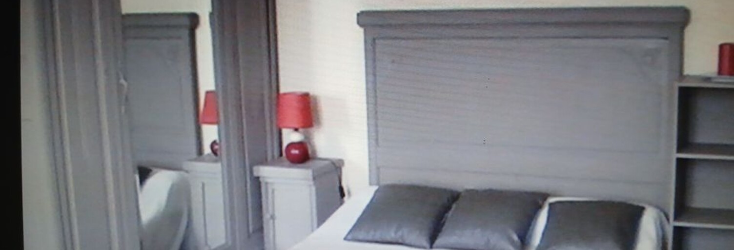 Appartement 1 Pièce 17 m² à louer à Tours (37000)