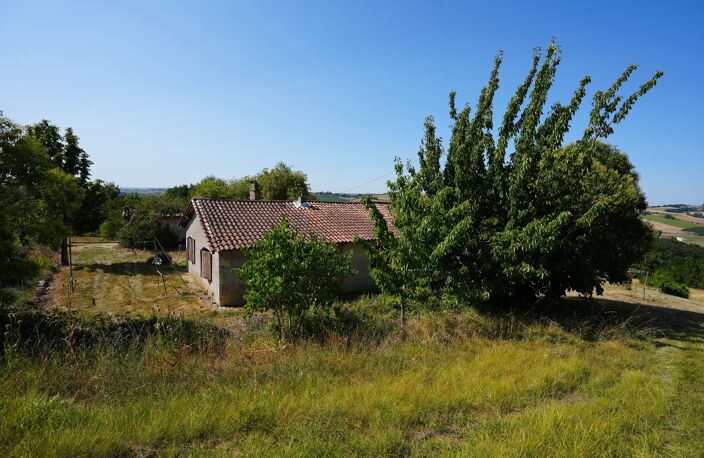 Maison à rénover sur 48178 m² de terrain à 1h de Bordeaux , 3h30 de Paris - CLAIRAC (47) — photo 3