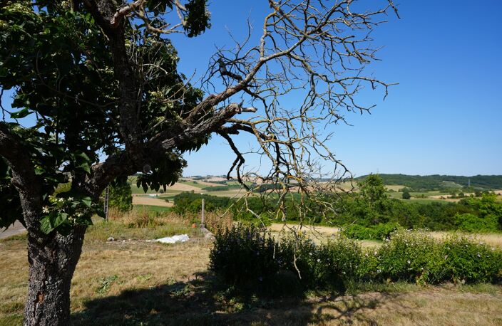 Maison à rénover sur 48178 m² de terrain à 1h de Bordeaux , 3h30 de Paris - CLAIRAC (47) — photo 4