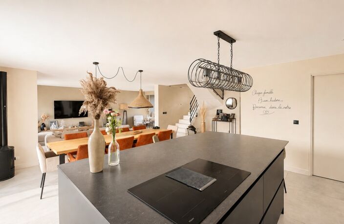 VILLA CONTEMPORAINE 5 PCES - NANGY (74) — photo 4