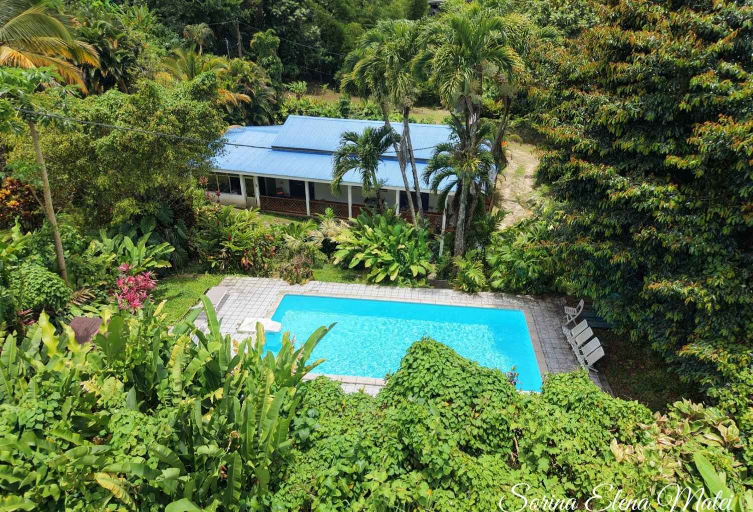 Maison avec piscine au cœur d’un écrin tropical - 5 pièces PETIT BOURG (971) — photo 1