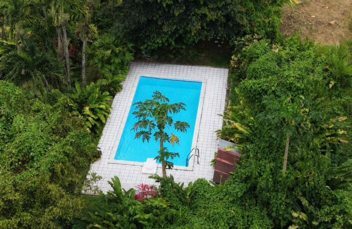 Maison avec piscine au cœur d’un écrin tropical - 5 pièces PETIT BOURG (971) — photo 2