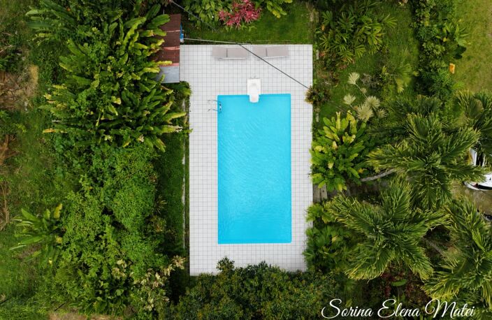 Maison avec piscine au cœur d’un écrin tropical - 5 pièces PETIT BOURG (971) — photo 3