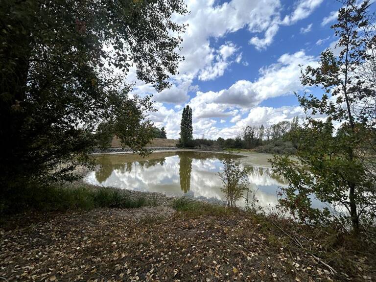 Splendide PLAN D'EAU situé à 15 minutes de Nevers — photo 1