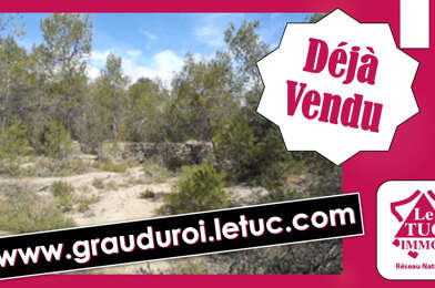 Terrain  88800 €