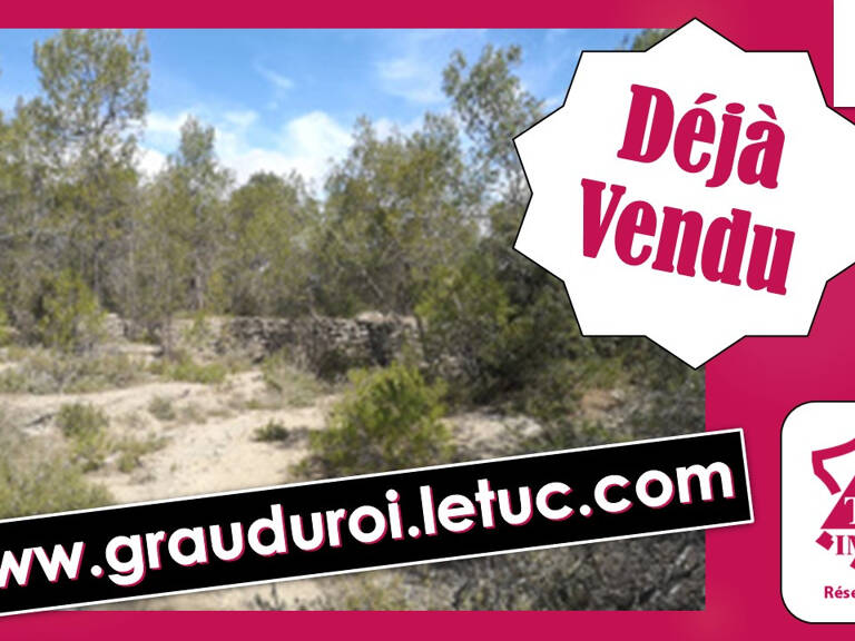 À Vacquières (34), terrain à vendre 3.6 Hectares — photo 1