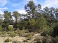 À Vacquières (34), terrain à vendre 3.6 Hectares — photo 3