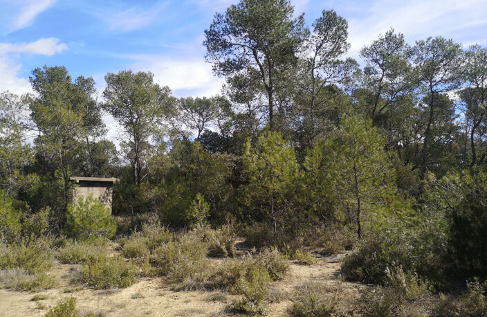À Vacquières (34), terrain à vendre 3.6 Hectares — photo 3