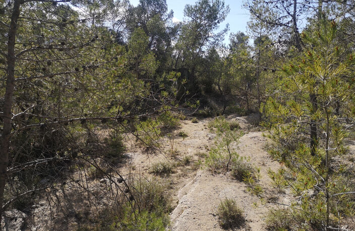 À Vacquières (34), terrain à vendre 3.6 Hectares — photo 5
