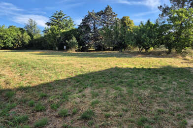 Terrain  81000 €