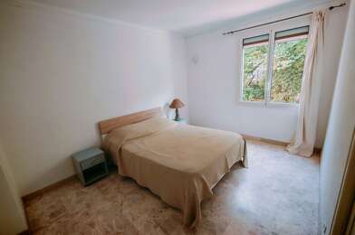 Appartement 3 pièces 800 €