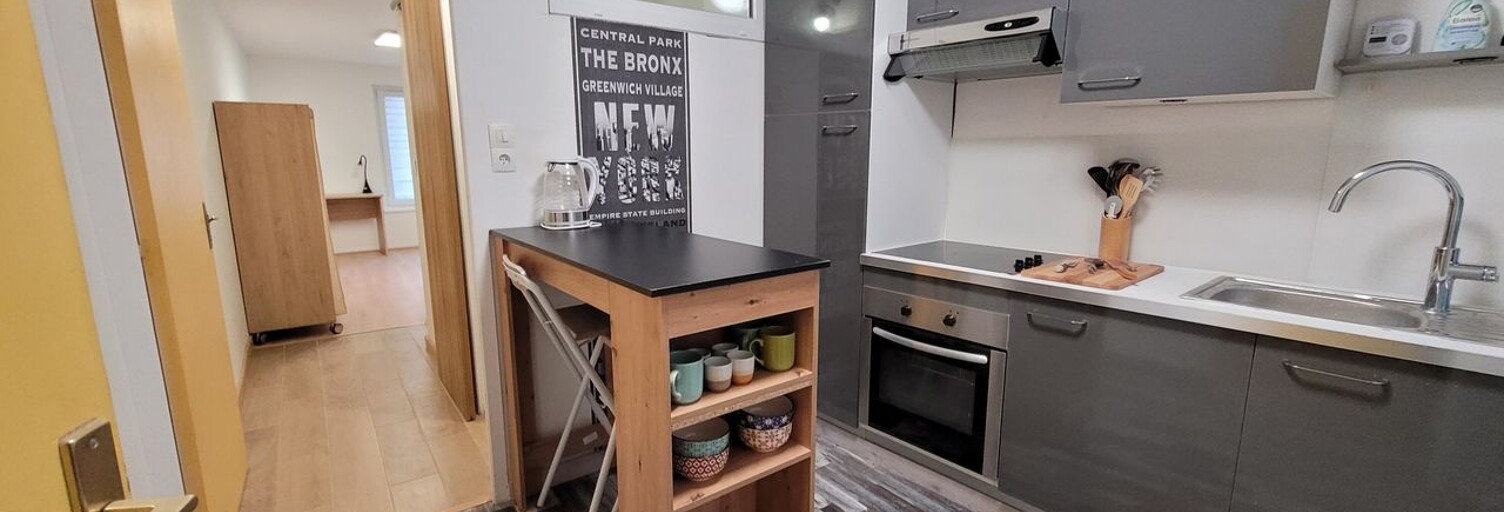 Appartement 1 Pièce 27 m² à louer à Nancy (54000)
