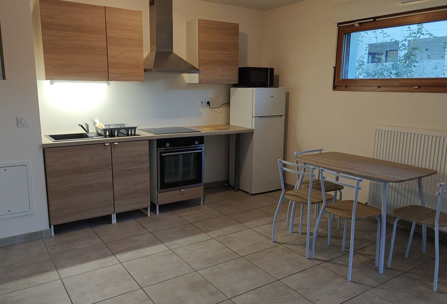 Appartement de 46m2 à louer sur Villeurbanne — photo 1