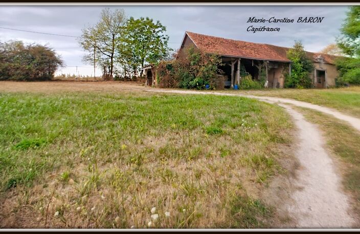 Propriete MAISON BOIS PRAIRIES BUZANCAIS (36) — photo 5