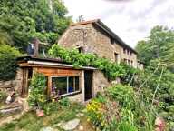 Belle maison Ardéchoise avec gîtes sur le terrain de 9950m² — photo 2
