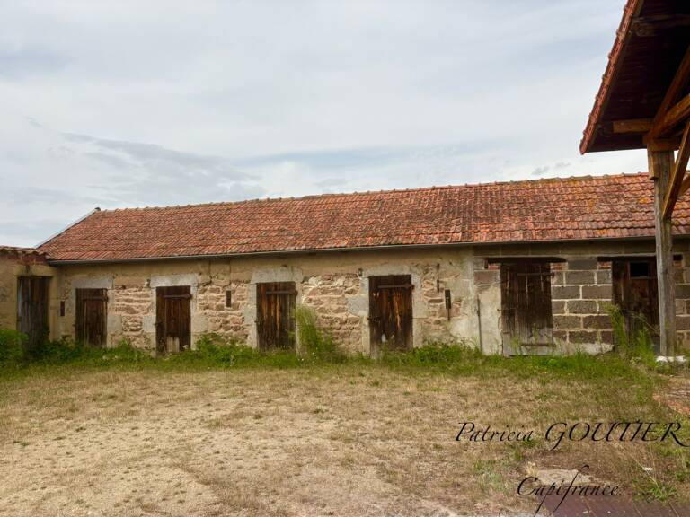 A  SAINT FORGEUX LESPINASSE (42) MAISON DE CARACTERE de 200 M2 avec DEPENDANCES et terrain clos de 8400M2 — photo 1