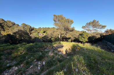 Terrain  250000 €
