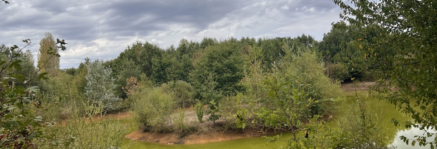 Photo N° 2